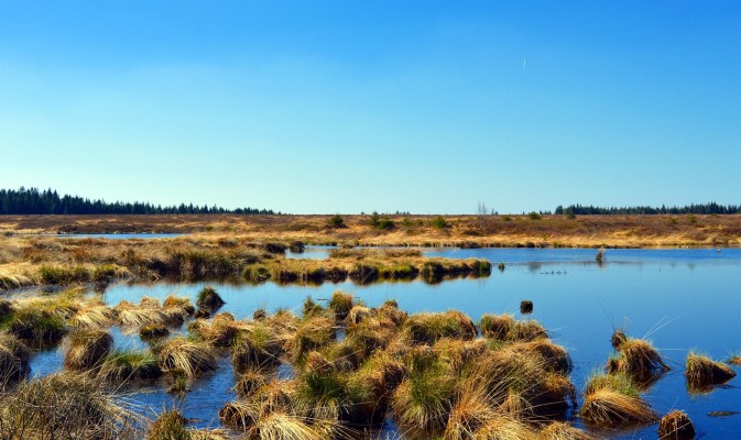 REST-COAST webinars: EU Nature Restoration Law