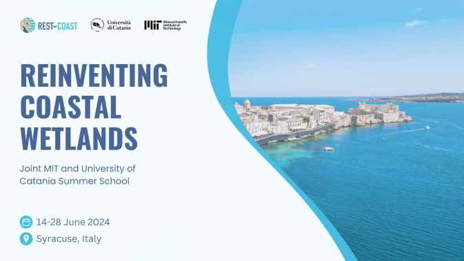 Reinventing coastal wetlands: Summer School 2024