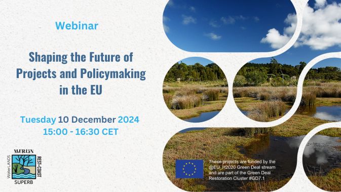 Shaping the Future of Projects and Policymaking in the EU: a webinar by the Green Deal cluster