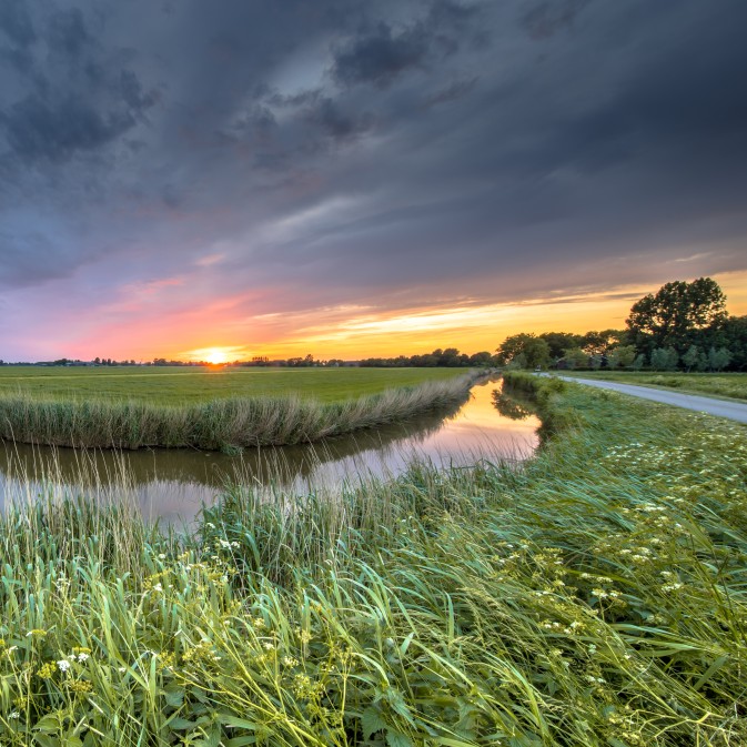 REST-COAST and WaterLANDS are hosting a joint meeting