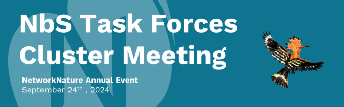 REST-COAST is joining the NetworkNature NbS Task Forces Cluster Meeting