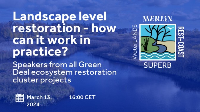 The Green Deal Restoration Cluster joins forces in a shared webinar - Landscape Restoration: How Can it Work in Practice?