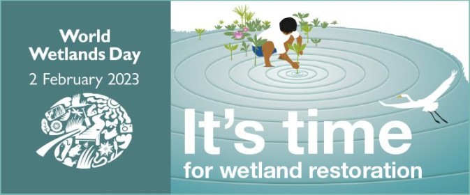 It’s time for wetland restoration