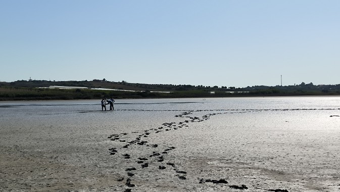 News from the Sicily Lagoon: Installation of a monitoring network