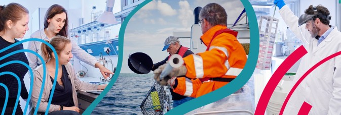 Job vacancy: The Hereon team is looking for an ECR in Earth system modelling in the projects NAPSEA and OLAMUR
