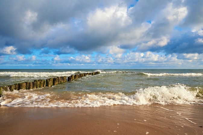 REST-COAST presented at stakeholder meeting in Germany