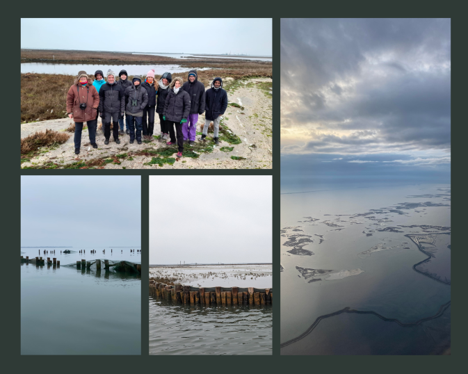 Venice Lagoon: an insight into the current state and future goals of the Pilot Site