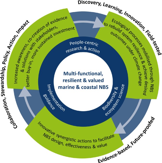 Embracing Nature-based Solutions to promote resilient marine and coastal ecosystems: REST-COAST paper