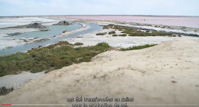 REST-COAST demo video collection: The Rhone delta pilot site