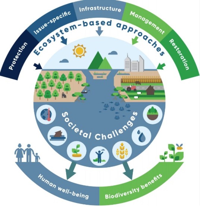 REST-COAST presented at the Euro-Mediterranean Meeting for the Nature-Based Solutions Conference