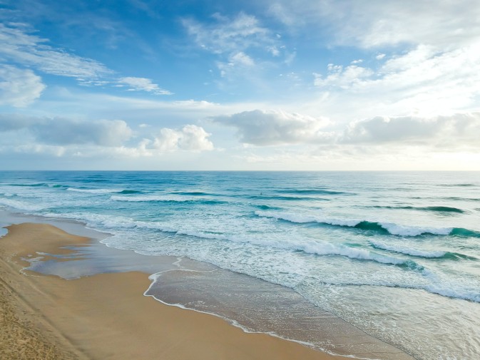 Restoring sea and oceans makes perfect economic sense