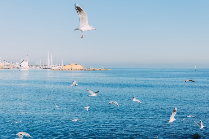 REST-COAST at the coastal management workshop in Barcelona
