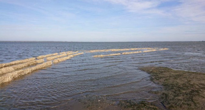 REST-COAST looks into the barriers and enablers for upscaling coastal restoration in a new research paper