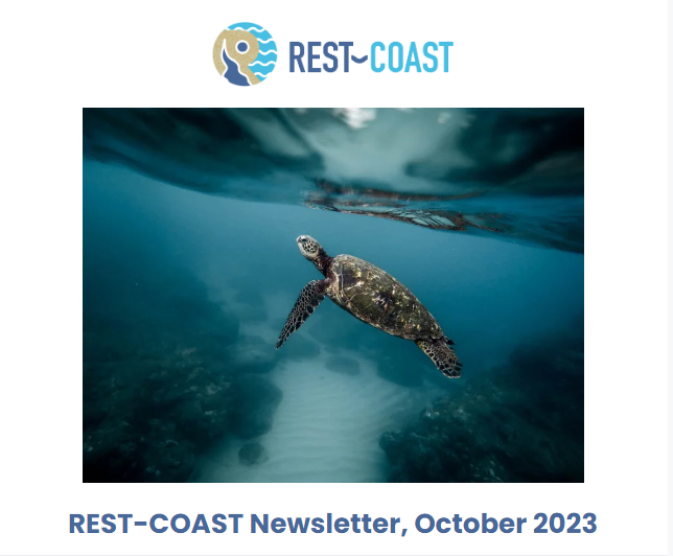 REST-COAST Newsletter: The October issue of our news bulletin is out