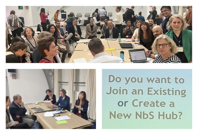 REST-COAST's participation at the NetworkNature Annual Event