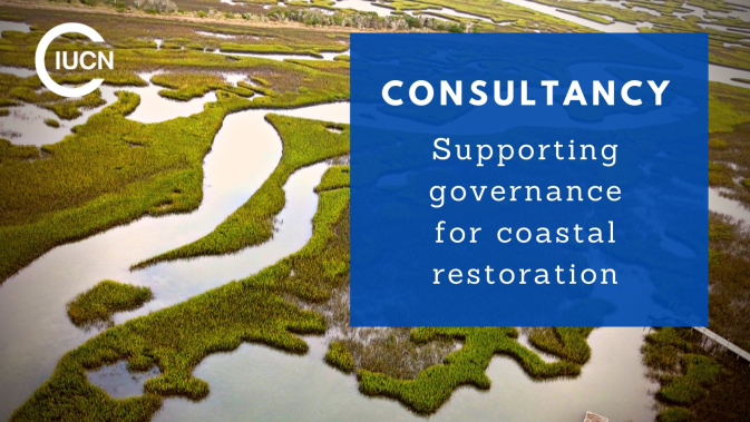 Job vacancy: Support governance for coastal restoration