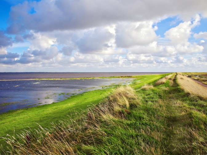 Mother nature to the rescue: an article by the European Commission