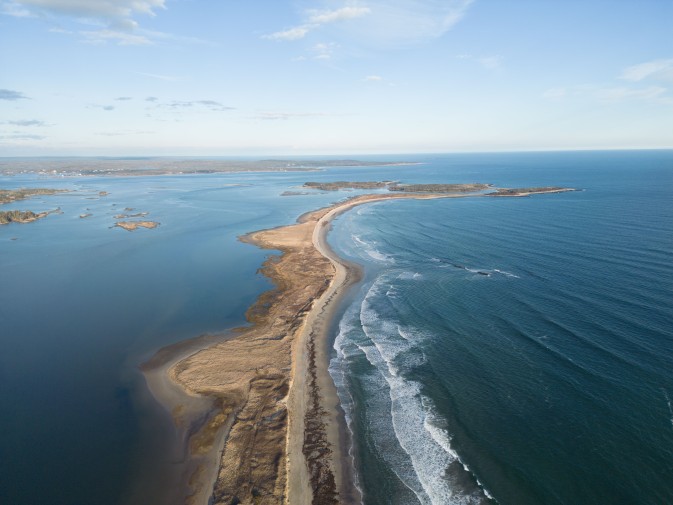 Reviving the Green Deal: A Call for Bold Action on Climate and Biodiversity
