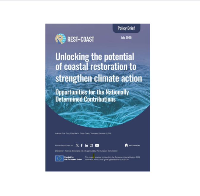 REST-COAST publishes two new policy briefs on coastal connectivity and climate ambition