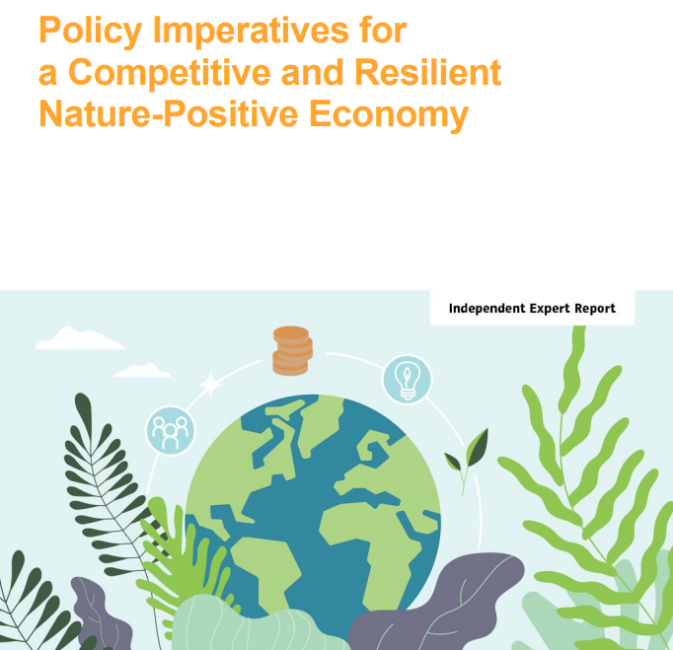 REST-COAST contributes to a new report on Policy Imperatives for a Competitive and Resilient Nature-Positive Economy