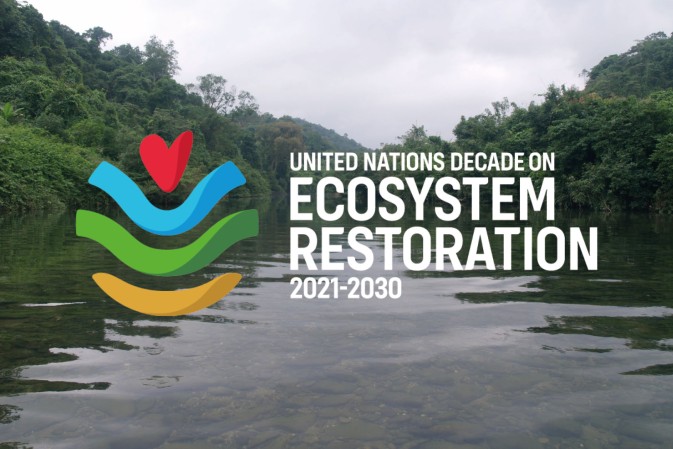 REST-COAST featured on the UN Ecosystem Restoration Hub