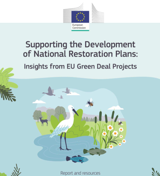 Newly published report highlights how EU Green Deal projects can support Nature Restoration implementation