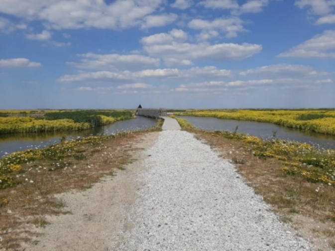 New REST-COAST publication looks into the financial barriers to ecological restoration
